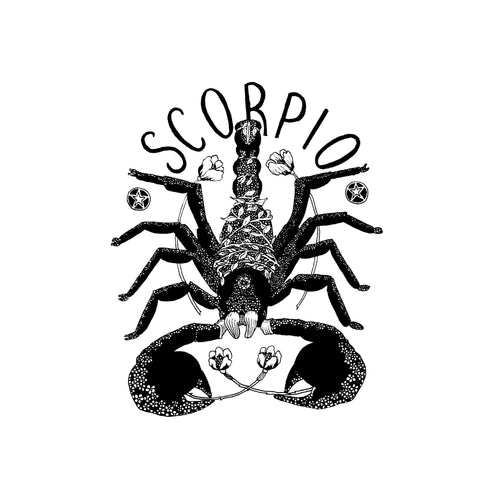 Scorpio Postcard: Zodiac Collection